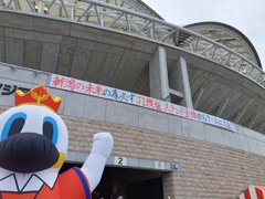 低飛空中の白鳥
