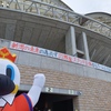 低飛空中の白鳥