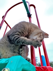 カンニングペーパー