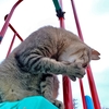 カンニングペーパー