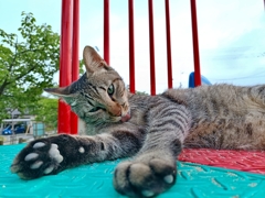 朝の身だしなみ