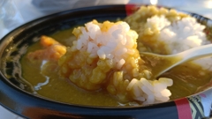 今夜はカレーを