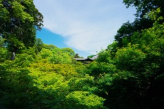 通天橋