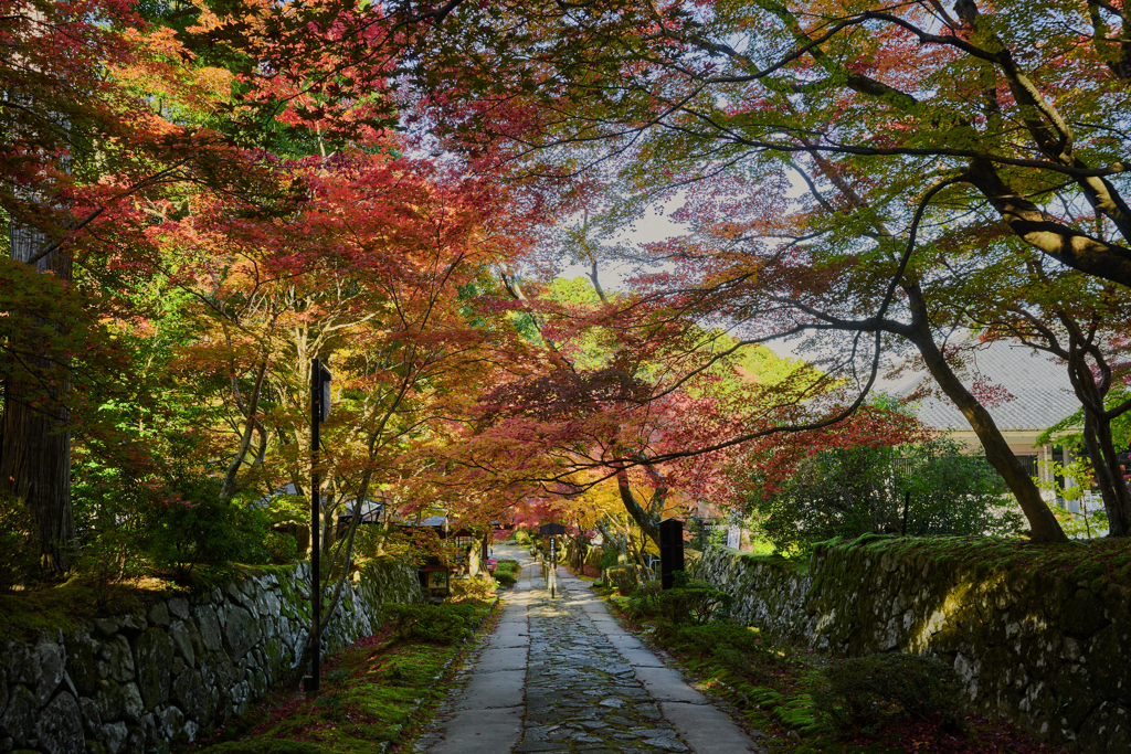 湖東三山 金剛輪寺