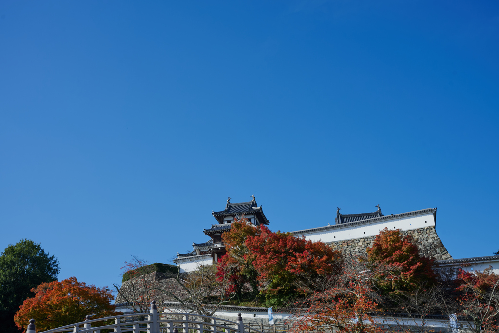 福知山城と紅葉