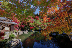 湖東三山 百済寺