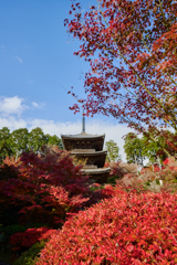 湖南三山 常楽寺