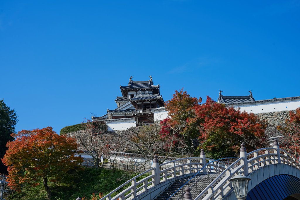 福知山城と紅葉