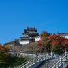 福知山城と紅葉