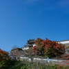 福知山城と紅葉