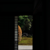 芬陀院