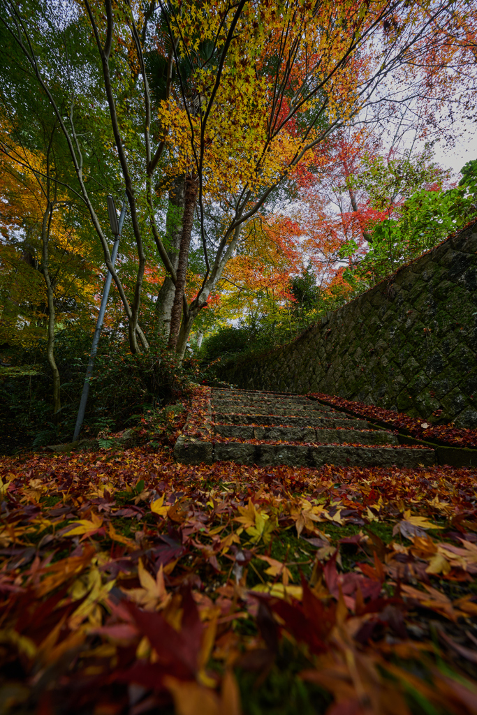 湖南三山 善水寺