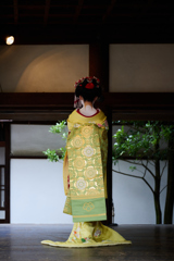 北野天満宮 節分祭 北野追儺式