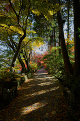 湖南三山 長壽寺