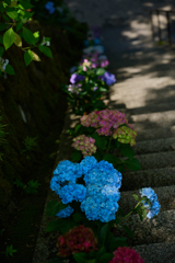 花階段