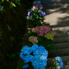 花階段