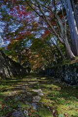 湖東三山 百済寺