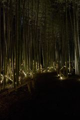 嵐山月灯路2025