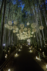 嵐山月灯路
