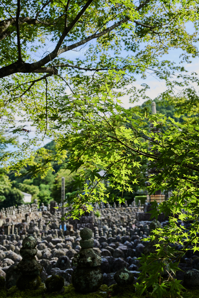 西院の河原