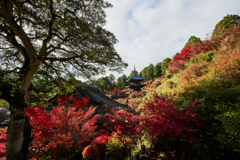 湖南三山 常楽寺