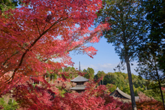 湖南三山 常楽寺