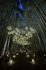 嵐山月灯路