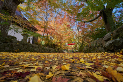 湖南三山 長壽寺