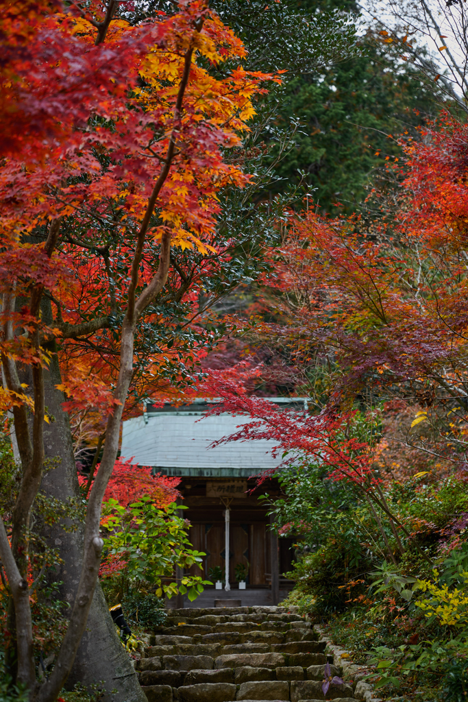 湖南三山 善水寺