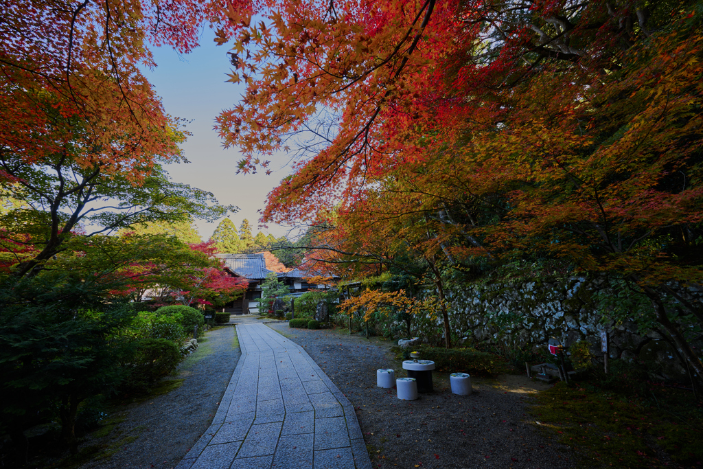 湖東三山 金剛輪寺