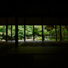 青紅葉 蓮華寺