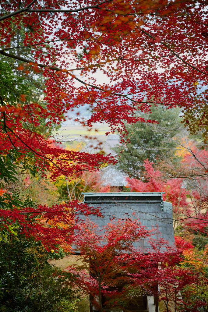 湖南三山 善水寺