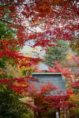 湖南三山 善水寺