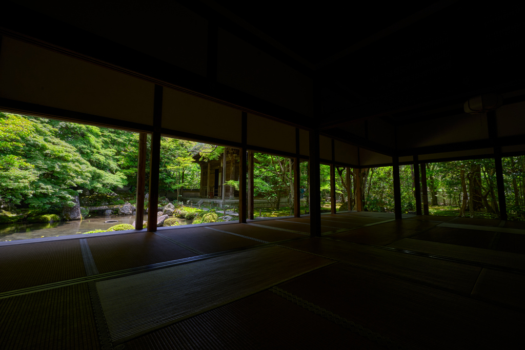 青紅葉 蓮華寺