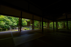 青紅葉 蓮華寺