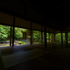 青紅葉 蓮華寺