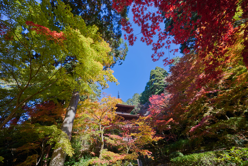 湖東三山 金剛輪寺