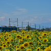 近江鉄道と...