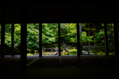 青紅葉 蓮華寺