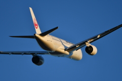 青空とJAL