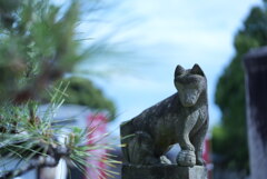 箭弓稲荷神社にて