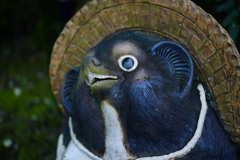 得意げな狸