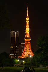 東京ぶらり旅　徘徊　東京タワー