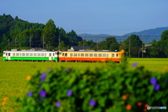 上総鶴舞駅にて