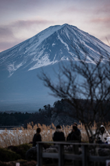 富士山　大石公園