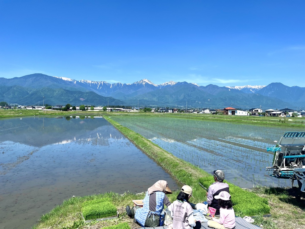 田水鏡