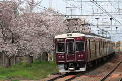 WN9X1495