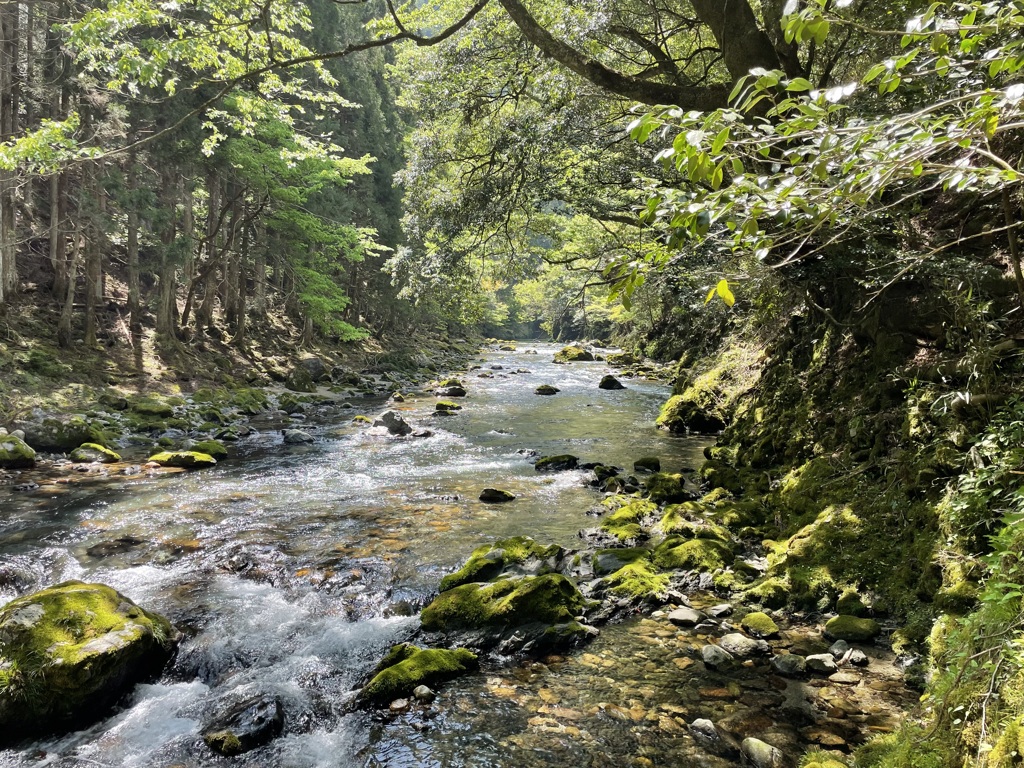 IMG_8109水の道