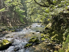 IMG_8109水の道