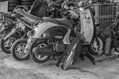 DSC_0030-3